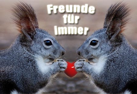 Freunde für immer mit Eichhörnchen