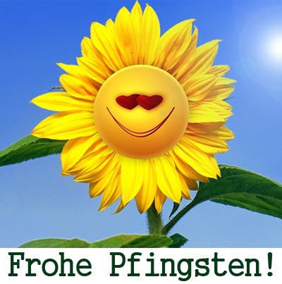Frohe Pfingsten mit einer Sonnenblume wÃ¼nschen