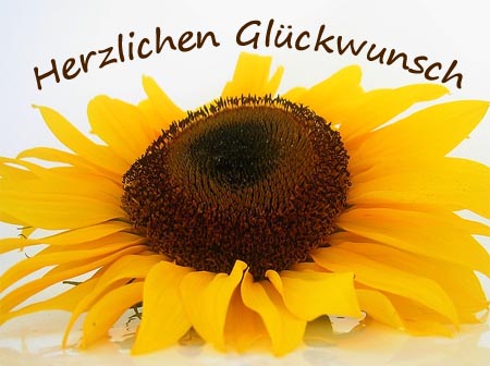 Gruß zum Geburtstag für die Mutter mit einer Sonnenblume