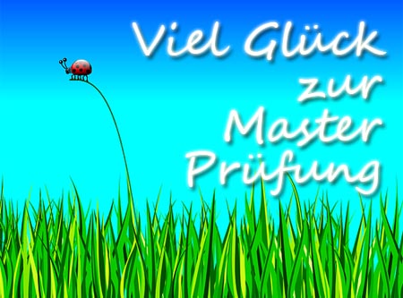 Glückskäfer zur Master Prüfung