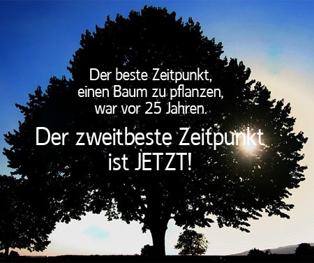 Wann ist der beste Zeitpunkt, um einen Baum zu pflanzen?