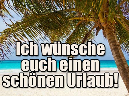 Schöner Urlaub unter Palmen