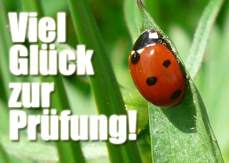 Bilder prüfung der glück viel bei Viel Glück